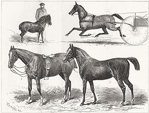 The Horse Show; 1. Mr. T. W. Blyth's Pony, Toby.; 2. Mr. W. H. Wilson's Lizzie Kendall.; 3. Princ...