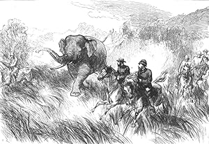 The Prince of Wales in the Nepaul Terai Chased by a Wild Elephant