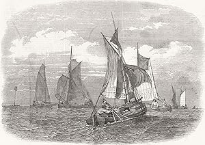 Shrimping off the Bligh, at the mouth of the Thames