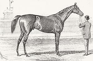 Jester, the winner of the Cesarewitch