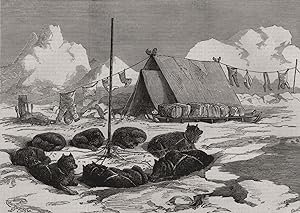 Sledge travelling: method of fastening the dogs when camping - The North Pole Expedition