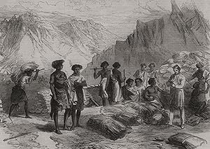 Shohos bringing in grass to the Commissariat at Undel Wells - The British expedition to Abyssinia