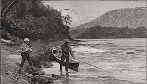 Angling on the Miramichi: gaffing a salmon from the shore - Salmon-fishing in North America