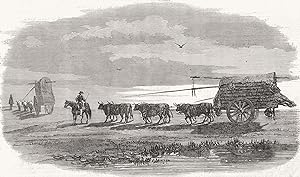 Ox-Carts traversing the Pampas - Sketches in Buenos Ayres