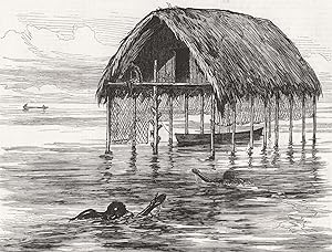 Lieutenant Cameron's sketches in Central Africa: A lake dwelling on lake Moheya
