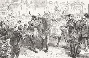 Arrival of the first oxen in Paris during the armistice