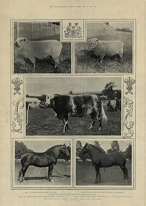 Seller image for The cattle show at Cardiff: the royal prize winner and others - Mr. A.E.Mansell's Shropshire ram: first prize, Duke of Richmond's Southdown ram: first prize and championship, the King's Shorthorn bull, "Royal Duke". First prize and championship, Mr. A.H.E.Wood's Suffolk filly, "Sudbourn Trinket": First prize, Messrs. Thompson's Shire Stallion, "Desford Combination": First prize and championship for sale by Antiqua Print Gallery