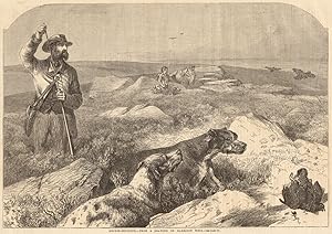 Grouse-shooting - from a drawing by Harrison Weir