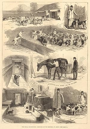 The royal buckhounds: Sketches of the kennels at Ascot