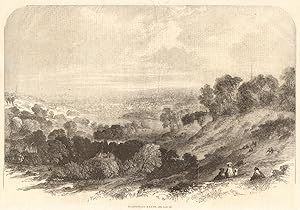 Hampstead Heath