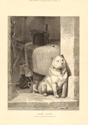 Low Life, by Sir Edwin Landseer