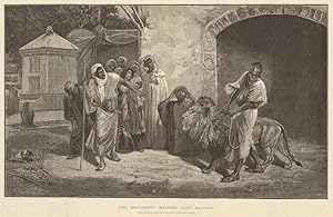 The Marabout (sacred) lion, Algiers. From the picture by E. Pavy - exhibited in the Royal Academy