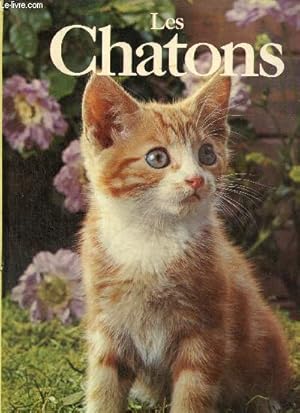 Seller image for Les Chatons for sale by Le-Livre