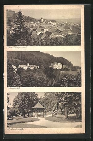 Ansichtskarte Bad Königswart, Ortsansicht, Kurviertel und Richardsquelle