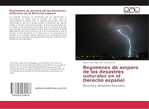 Seller image for Regmenes de amparo de los desastres naturales en el Derecho Espaol for sale by moluna