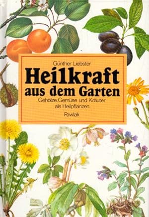 Seller image for Heilkraft aus dem Garten for sale by AMAHOFF- Bookstores