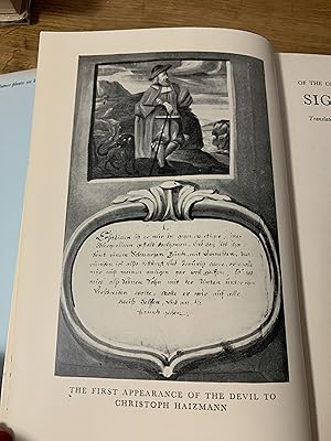 Immagine del venditore per The Ego and the Id and other works (The Standard Edition Volume XIX 1923-1925) venduto da Ocean Tango Books