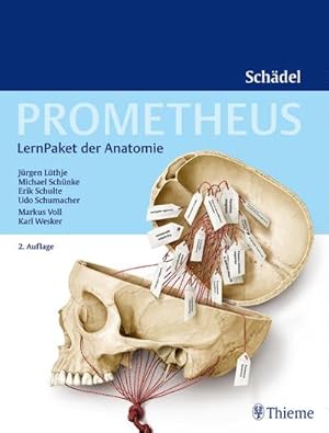 Seller image for PROMETHEUS LernPaket Anatomie Schdel for sale by AHA-BUCH GmbH