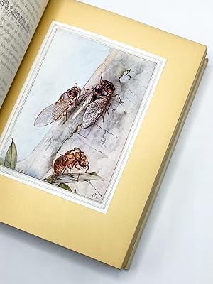 Seller image for FABRE'S BOOK OF INSECTS for sale by Type Punch Matrix