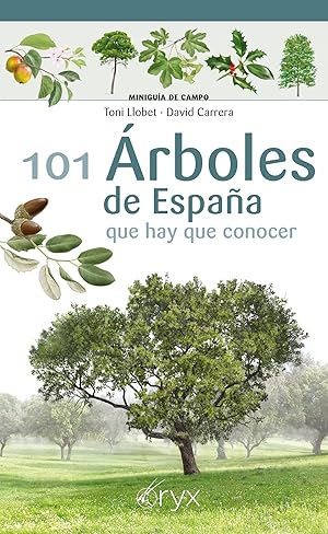 101 Árboles de España que hay que conocer