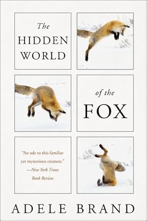 Seller image for The Hidden World of the Fox by Brand, Adele [Paperback ] for sale by booksXpress