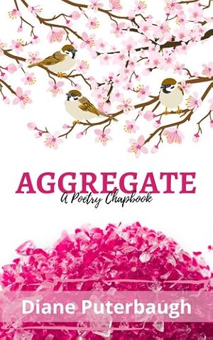 Seller image for Aggregrate by Puterbaugh, Diane [Paperback ] for sale by booksXpress
