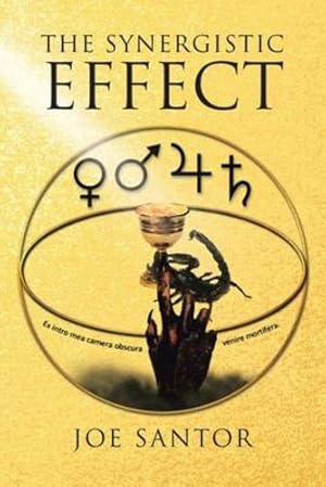 Seller image for The Synergistic Effect [Soft Cover ] for sale by booksXpress