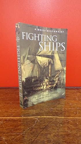 A Brief History of Fighting Ships