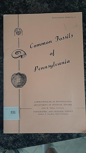 Seller image for Common Fossils of Pennsylvania Educational Series #2 for sale by Darby Jones