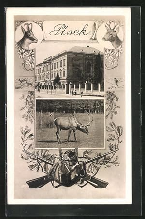 Bild des Verkufers fr Ansichtskarte Pisek, Gebudeansicht, Hirsch, Jagdgewehre zum Verkauf von Bartko-Reher