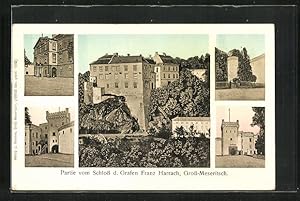 Image du vendeur pour Ansichtskarte Gross-Meseritsch, Ansichten vom Schloss d. Grafen Franz Harrach mis en vente par Bartko-Reher