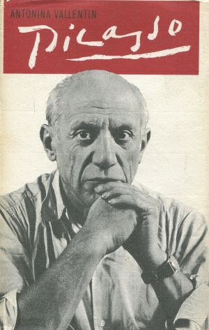Bild des Verkufers fr Pablo Picasso zum Verkauf von Gabis Bcherlager