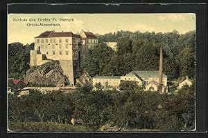 Image du vendeur pour Ansichtskarte Gross-Meseritsch, Schloss des Grafen Fr. Harrach mis en vente par Bartko-Reher