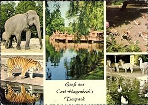 Bild des Verkufers fr Ansichtskarte / Postkarte Hamburg Eimsbttel Stellingen, Carl Hagenbeck's Tierpark, Elefant, Tiger, Lamas zum Verkauf von akpool GmbH