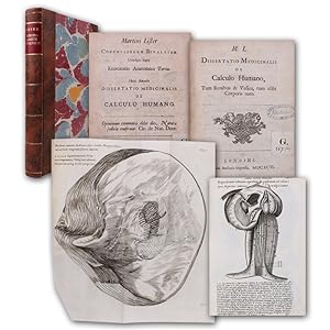 Conchyliorum bivalvium utriusque aquae exercitatio anatomia tertia. Huic accedit dissertatio medi...