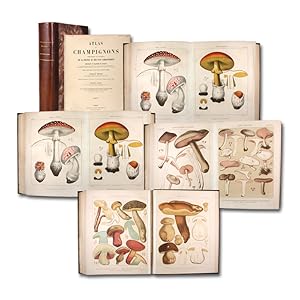 Atlas des champignons comestibles et vénéneux de la France et des pays circonvoisins. 2 Teile in ...