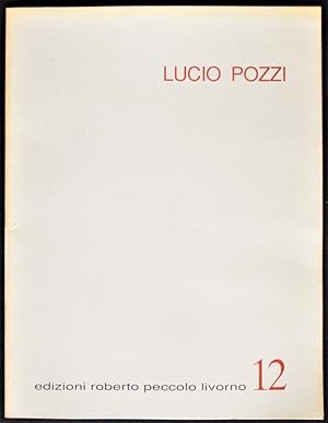 Imagen del vendedor de Lucio Pozzi: The Rag Rug Paintings a la venta por Design Books