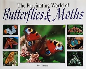 Bild des Verkufers fr The Fascinating World Of Butterflies And Moths zum Verkauf von Marlowes Books and Music