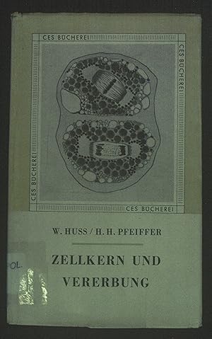 Seller image for Zellkern und Vererbung. for sale by books4less (Versandantiquariat Petra Gros GmbH & Co. KG)