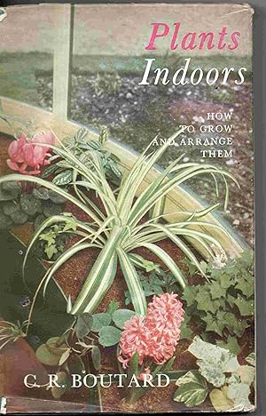 Plants Indoors. How to Grow and Arrange Them