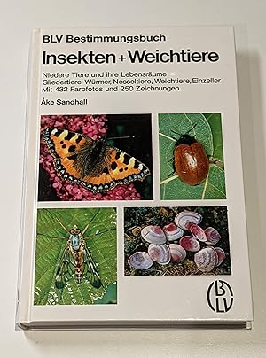 Insekten und Weichtiere