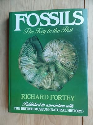 Seller image for Fossils The Key to the Past for sale by Antiquariat Rohde