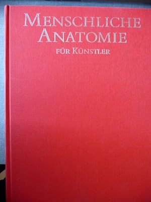 Menschliche Anatomie für Künstler