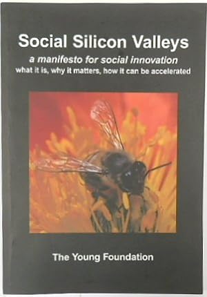 Bild des Verkufers fr Social Silicon Valleys: A Manifesto for Social Innovation - What it is, Why it Matters, How it Can be Accelerated zum Verkauf von PsychoBabel & Skoob Books