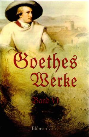 Immagine del venditore per Goethes Werke Band VI venduto da BuchSigel