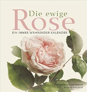 Bild des Verkufers fr Die ewige Rose: Ein immer whrender Kalender zum Verkauf von Gerald Wollermann