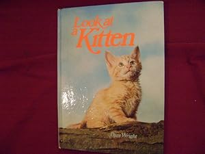 Imagen del vendedor de Look at a Kitten. a la venta por BookMine