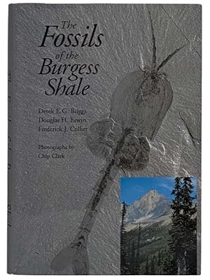 Image du vendeur pour The Fossils of the Burgess Shale mis en vente par Yesterday's Muse, ABAA, ILAB, IOBA