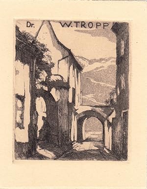 Bild des Verkufers fr Dr. W. Tropp. Straenansicht in Unkel bei Neuwied vor Bergen. zum Verkauf von Antiquariat  Braun