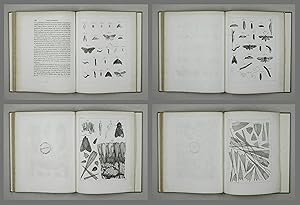 Bild des Verkufers fr Anatomie de differentes especes d'insectes. (Sixime article). zum Verkauf von Daniel Thierstein